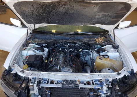 2015 Dodge Charger R/T z USA, uszkodzony, nr VIN 2C3CDXCTXFH914832